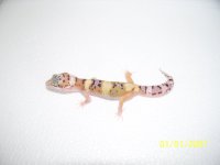 2013 babies 039.jpg