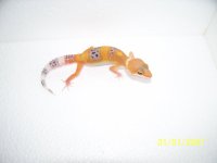 2013 babies 060.jpg