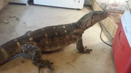 20130619_132323.jpg