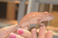 Girl#7.jpg