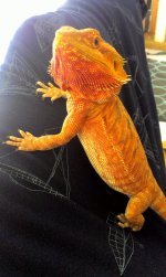 ember.jpg