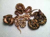 Post shed clutch.jpg