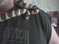 kaylas snake.jpg