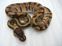 DSCN4819.jpg