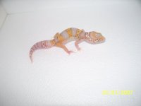 2013 babies 010.jpg