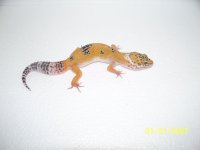 2013 babies 017.jpg