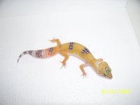 2013 babies 020.jpg