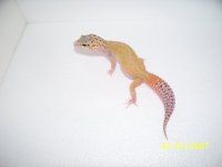 2013 babies 021.jpg