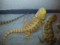 20130717_190838.jpg