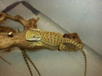 20130717_190807.jpg