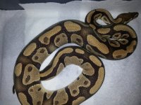 20130625_214344.jpg