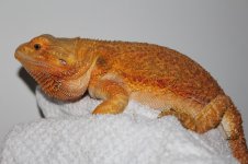 IMG_6749.jpg