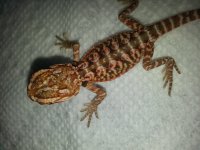 20130530_204900.jpg