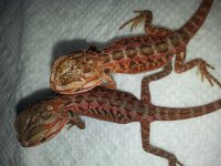 20130530_204750.jpg