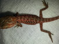 20130530_204723.jpg