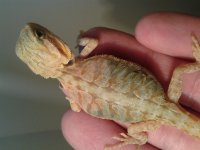 20130823_194033.jpg