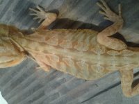 20130823_180856.jpg