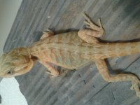 20130823_180929.jpg