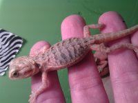 20130823_194404.jpg