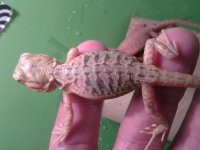 20130823_194412.jpg