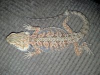 2013-02-08_23-50-46_124.jpg