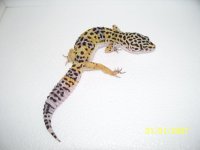2013 babies 065.jpg