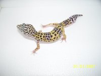 2013 babies 067.jpg