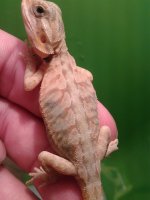 20130720_215227.jpg