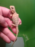 20130720_215238.jpg