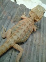 20130720_215818.jpg