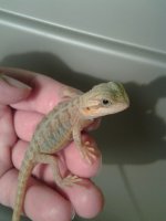 20130720_215933.jpg