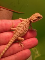 20130720_213931.jpg