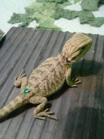 20130720_220201.jpg