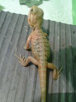 20130720_220056.jpg