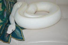 DSC_0112.jpg