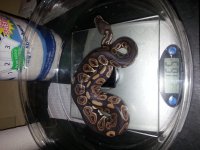 20130731_200744.jpg