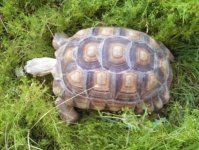 IMG_20130604_194238.jpg