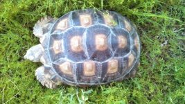 IMG_20130604_194137.jpg