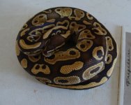 MOJAVE.jpg