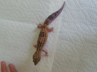 20130428_101239.jpg