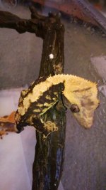 WP_20130614_010.jpg