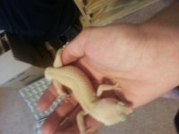 20130702_200917.jpg