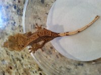 20130728_102512.jpg
