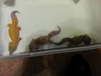 20130607_190534.jpg