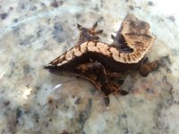 20130617_175731.jpg