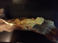 20130801_100236.jpg