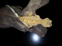 20130801_105120.jpg