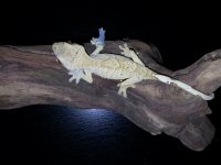 20130801_105319.jpg