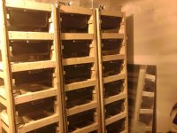 rack2.jpg
