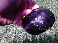 2013-07-04 038.jpg
